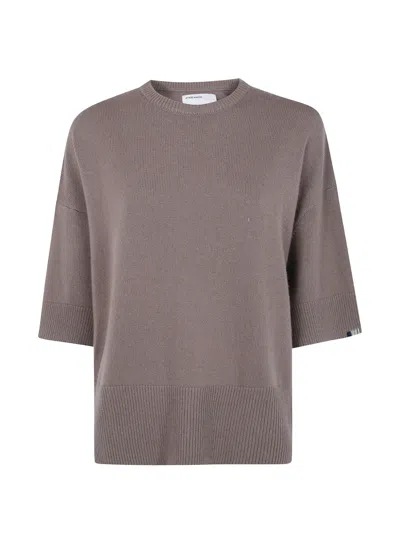 Extreme Cashmere Sassie Cashmere V-neck Sweater In Brown