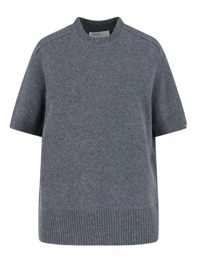 Extreme Cashmere Short-sleeve Ribbed Sweater In Gray
