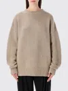 Extreme Cashmere Lovley Crew Neck In Neutral