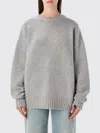 Extreme Cashmere Lovley Crew Neck In Gray