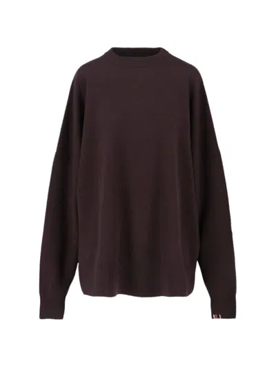 Extreme Cashmere Sweaters In Brown