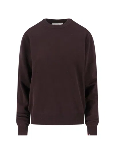 Extreme Cashmere Sweaters In Brown
