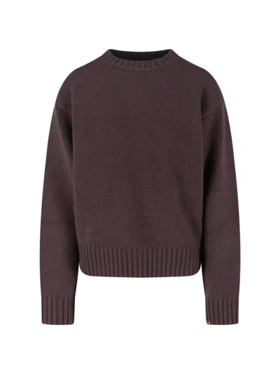Extreme Cashmere Sweaters In Brown