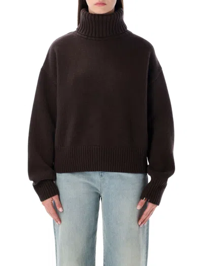 Extreme Cashmere Sweaters In Brown