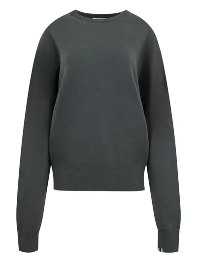 Extreme Cashmere Tes Crew-neck Sweater In Gray