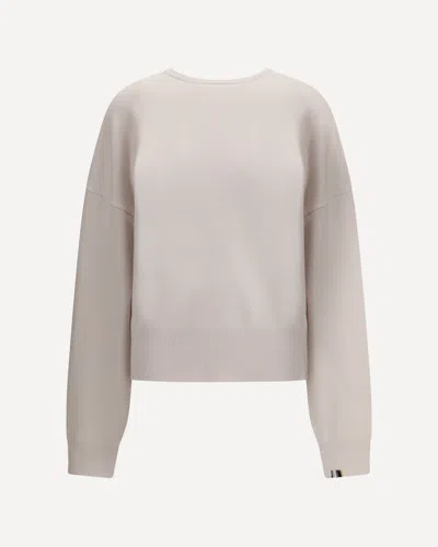 Extreme Cashmere Tes Sweater In Neutral