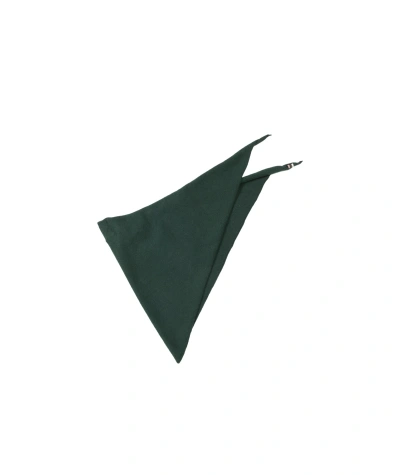Extreme Cashmere Triangular Headscarf In Green
