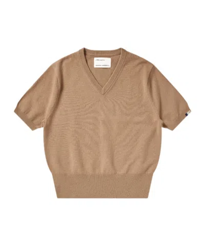 Extreme Cashmere V-neck Sweater In Brown