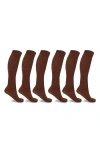 Extreme Fit 6-pack Elite Comfort Knee Length Compression Socks In Brown
