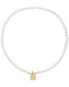 Eye Candy La Titanium Shell Pearl Necklace
