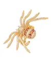 EYE CANDY LA WOMEN'S LUXE 18K GOLDPLATED CRAWLER SPIDER ADJUSTABLE RING