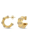 Eye Candy Los Angeles Carmen Hoop Earrings In Gold