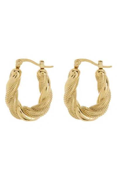 Eye Candy Los Angeles Charlotte Twist Hoop Earrings In Gold