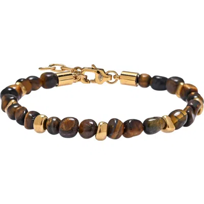 Eye Candy Los Angeles Samuel Tiger's-eye Beaded Bracelet In Brown