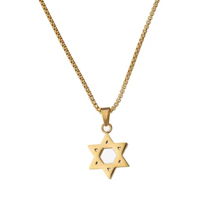 Eye Candy Los Angeles Star Of David Titanium Pendant Necklace In Gold