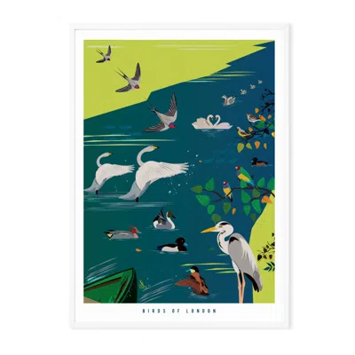 Eye For London Prints Birds Of London Illustrated Art Print In Blue/gray