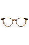 Eyebobs Case Closed 48mm Round Reading Glasses In Tortoise