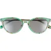Eyebobs Statuette 51mm Polarized Cat Eye Sunglasses In Pink