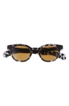 Eyebobs Total Wit 45mm Round Polarized Sunglasses In Brown