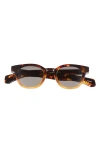 Eyebobs Total Wit 45mm Round Polarized Sunglasses In Multi