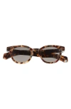 Eyebobs Total Wit 45mm Round Polarized Sunglasses In Brown