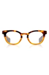 Eyebobs Total Wit 45mm Round Blue Light Blocking Glasses In Brown