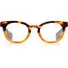 Eyebobs Total Wit 45mm Round Blue Light Blocking Glasses In Brown