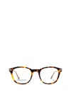Eyepetizer Eyeglasses In Brown