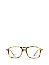 Eyepetizer Eyeglasses In Multi