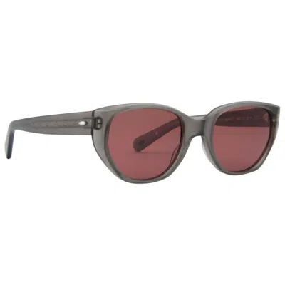 Eyevan Unisex Sunglasses In Brown