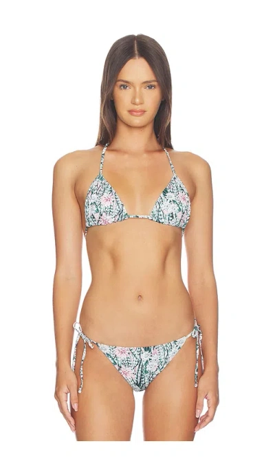Eywasouls Malibu Kaya Bikini Top In White