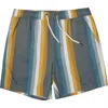 Ezekiel Canter Stripe Swim Shorts In Multi