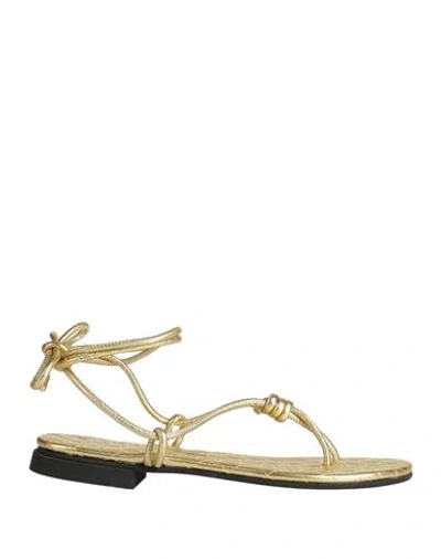 Fabi Woman Thong Sandal Gold Size 8 Leather