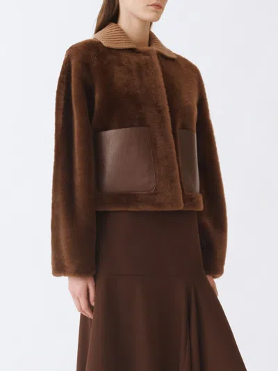 FABIANA FILIPPI FUR COATS FABIANA FILIPPI WOMAN COLOR MAHOGANY,H25676131