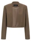 Fabiana Filippi Cropped Pinstripe Jacket In Brown