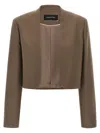 Fabiana Filippi Cropped Pinstripe Jacket In Brown