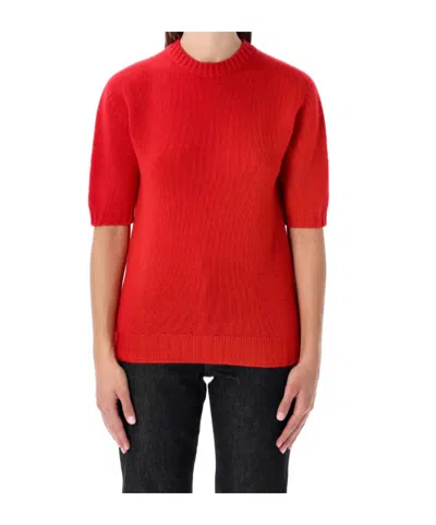 FABIANA FILIPPI FABIANA FILIPPI SHORT-SLEEVED KNITTED JUMPER