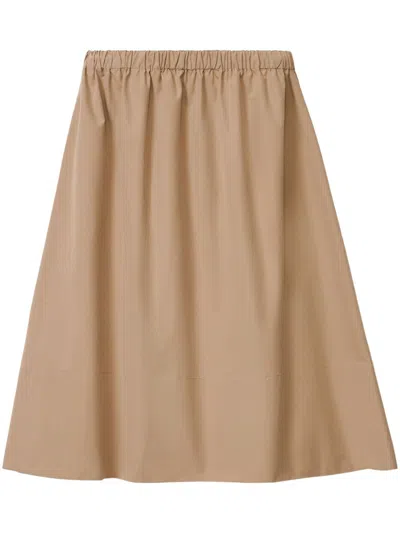Fabiana Filippi Women's Cotton Skirt In Brown