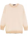 Fabiana Filippi Cotton Sweater In Brown