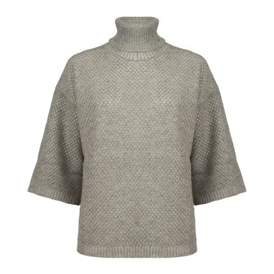 Fabiana Filippi Grey Mesh Turtleneck Sweater In Brown