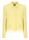 Fabiana Filippi Long Sleeved Buttoned Jacket In Yellow