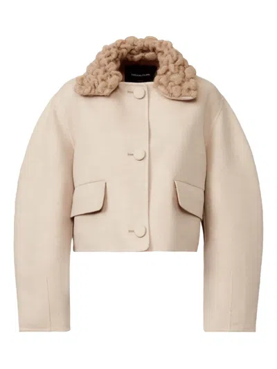 Fabiana Filippi Knitted-collar Wool Jacket In Neutral