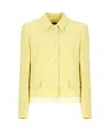 Fabiana Filippi Long Sleeved Buttoned Jacket In Yellow