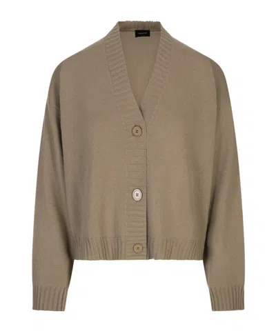 Fabiana Filippi Long Sleeve V Neck Sweater In Brown