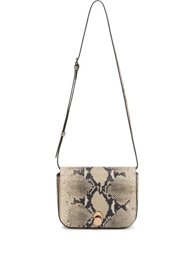 Fabiana Filippi Eclissi Python-print Calfskin Mini Messenger Bag In White