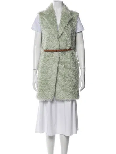 Pre-owned Fabiana Filippi Mohair Printed Vest In Green
