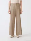 Fabiana Filippi Spoleto Trousers In Bi-stretch Fresco Wool In Brown