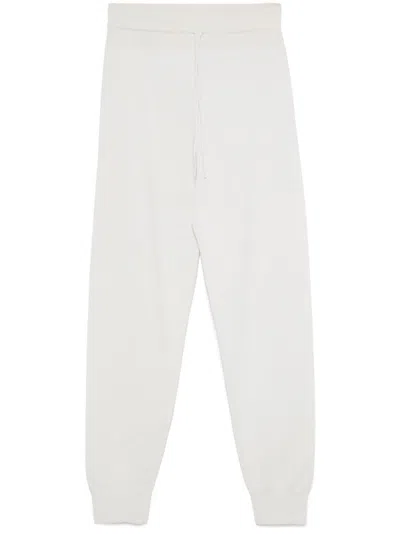 Fabiana Filippi Platinum Track Pants In Gray