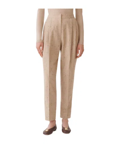 Fabiana Filippi Pleated Detail Track Pants In Brown