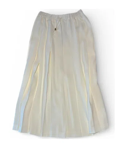 Fabiana Filippi Pleated Skirt In Gray